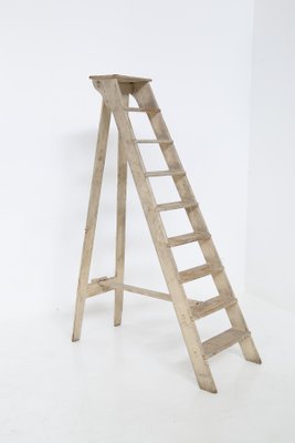 Should You Paint a Wood Ladder
